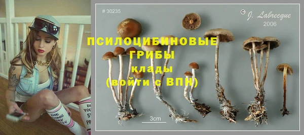 ешки Армянск